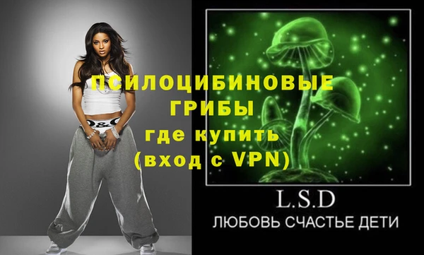 spice Алзамай