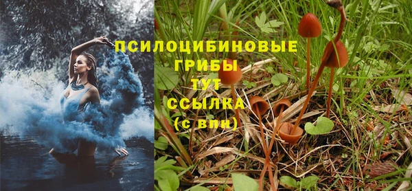 ГАЛЛЮЦИНОГЕННЫЕ ГРИБЫ Алексеевка